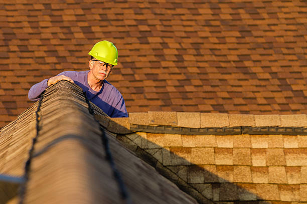 Professional Roofing Contractor in Warm Beach, WA