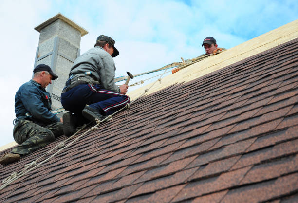 Quick and Trustworthy Emergency Roof Repair Services in Warm Beach, WA